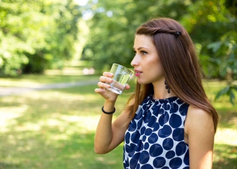 Životne dôležité orgány 