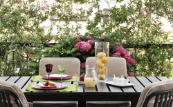 Záhrada na balkóne 