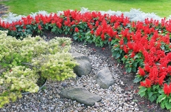 Záhrada s charakterom