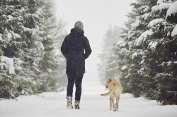 Prečo ísť v zime na prechádzku