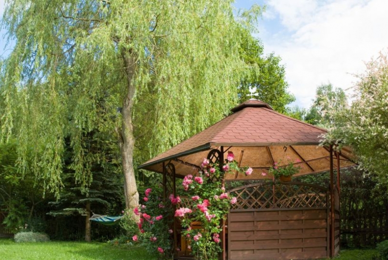 Čo má byť v záhrade?