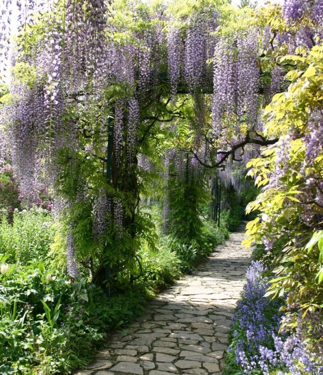 Harmónia v exteriéri 